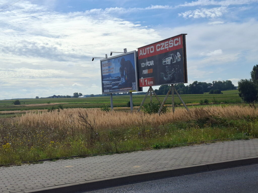 Konin 0874